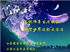 山东大法弟子庆祝世界法轮大法日(22条)