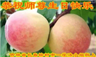 长春大法弟子庆祝世界法轮大法日(19条)
