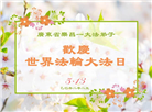 广东大法弟子庆祝世界法轮大法日(20条)