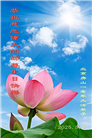北京大法弟子庆祝世界法轮大法日(20条)
