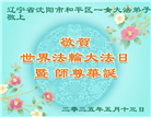 沈阳大法弟子庆祝世界法轮大法日(21条)