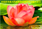西欧七国大法弟子庆祝世界法轮大法日