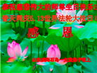 山东大法弟子庆祝世界法轮大法日(20条)