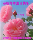 葫芦岛大法弟子庆祝世界法轮大法日(21条)