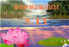 重庆大法弟子庆祝世界法轮大法日(22条)