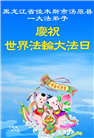 佳木斯大法弟子庆祝世界法轮大法日(20条)