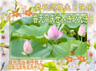 锦州大法弟子庆祝世界法轮大法日(22条)