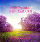 重庆大法弟子庆祝世界法轮大法日(20条)