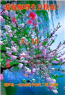 葫芦岛大法弟子庆祝世界法轮大法日(21条)