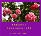 保定大法弟子庆祝世界法轮大法日(24条)