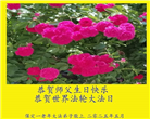 保定大法弟子庆祝世界法轮大法日(24条)