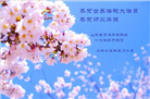 青岛大法弟子庆祝世界法轮大法日(19条)