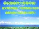 吉林省大法弟子庆祝世界法轮大法日(21条)