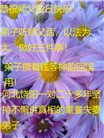 河北大法弟子庆祝世界法轮大法日(20条)