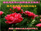 郑州大法弟子庆祝世界法轮大法日(20条)