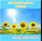 内蒙古大法弟子庆祝世界法轮大法日(20条)