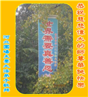 河北大法弟子庆祝世界法轮大法日(23条)