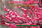 被非法关押的大法弟子庆祝世界法轮大法日(19条)