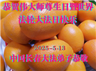 长春大法弟子庆祝世界法轮大法日(19条)