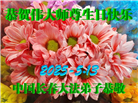 长春大法弟子庆祝世界法轮大法日(19条)