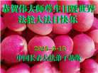 长春大法弟子庆祝世界法轮大法日(19条)