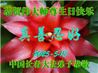 长春大法弟子庆祝世界法轮大法日(19条)