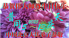 北京大法弟子庆祝世界法轮大法日(20条)