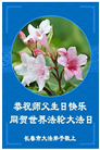 长春大法弟子庆祝世界法轮大法日(19条)