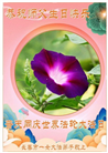 长春大法弟子庆祝世界法轮大法日(18条)