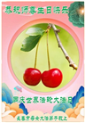 长春大法弟子庆祝世界法轮大法日(18条)