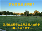 成都大法弟子庆祝世界法轮大法日(22条)