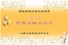 湖北大法弟子庆祝世界法轮大法日(18条)