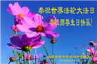 沈阳大法弟子庆祝世界法轮大法日(19条)