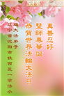 沈阳大法弟子庆祝世界法轮大法日(21条)