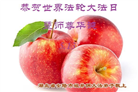 湖北大法弟子庆祝世界法轮大法日(19条)