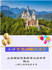 山东大法弟子庆祝世界法轮大法日(21条)