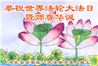 石家庄大法弟子庆祝世界法轮大法日(20条)