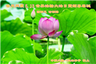 大陆大法弟子庆祝世界法轮大法日(28条)
