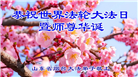 山东大法弟子庆祝世界法轮大法日(20条)