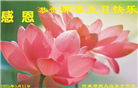 河南大法弟子庆祝世界法轮大法日(22条)