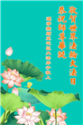 辽宁大法弟子庆祝世界法轮大法日(19条)