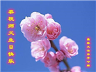 秦皇岛大法弟子庆祝世界法轮大法日(18条)