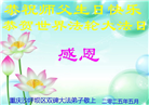 重庆大法弟子庆祝世界法轮大法日(20条)
