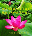 湖北大法弟子庆祝世界法轮大法日(22条)