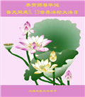 大连大法弟子庆祝世界法轮大法日(20条)