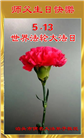 河北大法弟子庆祝世界法轮大法日(23条)