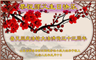 山东大法弟子庆祝世界法轮大法日(23条)
