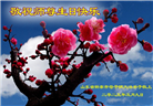 山东大法弟子庆祝世界法轮大法日(23条)