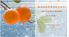 北京大法弟子庆祝世界法轮大法日(20条)