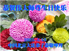 北京大法弟子庆祝世界法轮大法日(20条)